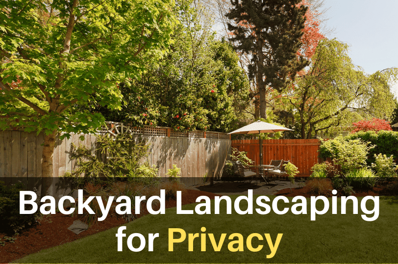 Backyard-Landscaping-for-Privacy, Backyard Remodeling, Backyard Construction