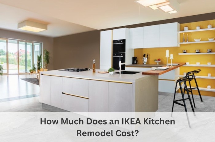 How Much Does An Ikea Kitchen Remodel Cost Igs Construction 7888